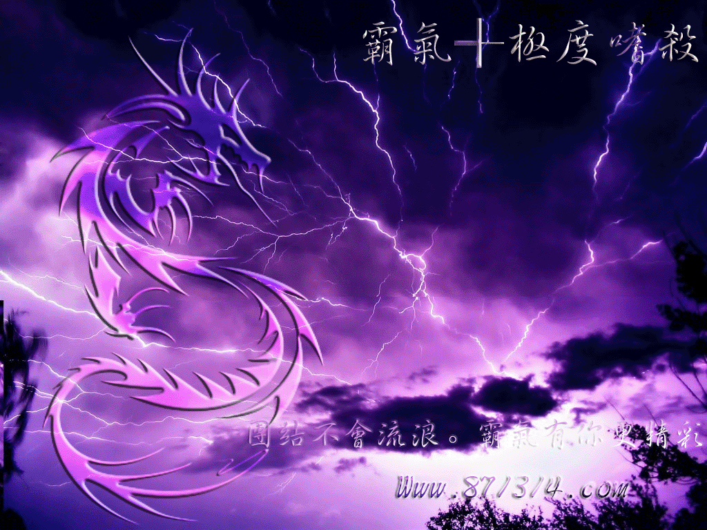 不抛弃，不放弃